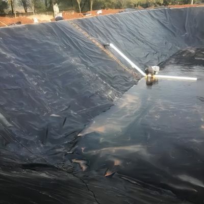 Γεωμεμβράνη HDPE υψηλής πυκνότητας για λίμνες ψαριών και γαρίδων με λειτουργία αδιάβροχη