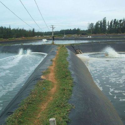 Διπλή ομαλή επιφάνεια γεωμεμβράνη HDPE 1mm για υδρατρίδες και χώρους υγειονομικής ταφής 50m-100m μήκος