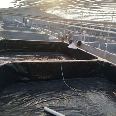 ISO9001 Πρότυπο HDPE Γεωμεμβράνη Προλαμβάνει το νερό και τις διαρροές με άμεση πώληση