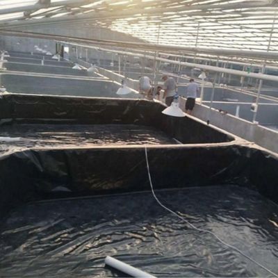 Δάχος 0,3 mm-2,8 mm HDPE γεωμεμβράνη για αδιάβροχο στρώμα λίμνης ψαριών και στρώμα φράγματος