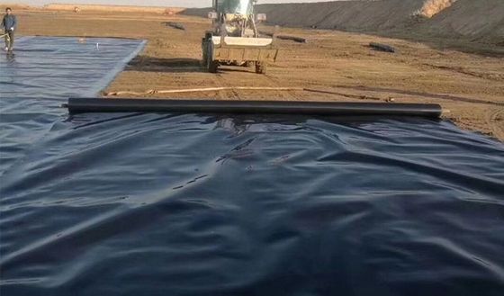 HDPE Geomembrane Fish Pond Liner 0,5mm 1mm 2mm για σύγχρονες χώρους υγειονομικής ταφής Στυλ σχεδιασμού