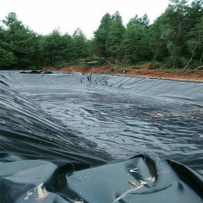 0.1mm-2.5mm πάχος ιχθυοκαλλιέργεια λίμνη Liner Hdpe γεωμεμβράνη για βιομηχανικές εφαρμογές