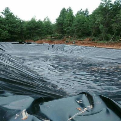 0.1mm-2.5mm πάχος ιχθυοκαλλιέργεια λίμνη Liner Hdpe γεωμεμβράνη για βιομηχανικές εφαρμογές