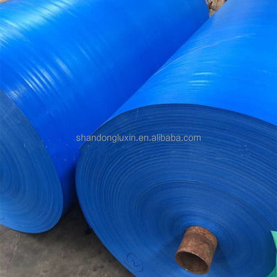 Αδιάβροχο κάλυμμα φορτηγού PE καρότσα 120gm-300gm για όλες τις καιρικές συνθήκες