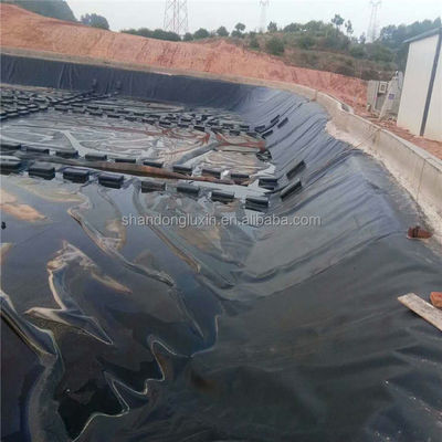Μαύρες γεωμεμβράνες HDPE Η απόλυτη προστασία για την υδατοκαλλιέργεια