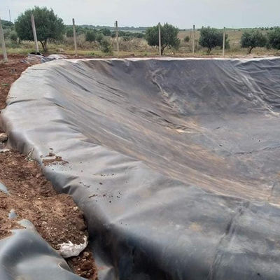 Γεωμεμβράνη με λεία HDPE για λιμάνια απορριμμάτων ψαριών και γαρίδων Μαύρο ή προσαρμοσμένο