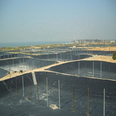 Προσαρμόσιμη μαύρη γεωμεμβράνη HDPE για δεξαμενές ψαριών 0,5 mm Στυλ βιομηχανικού σχεδιασμού