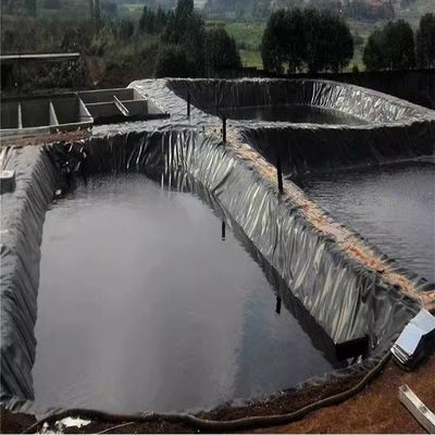 Διπλή υφή HDPE γεωμεμβράνη ιχθυοκαλλιέργεια λιμνού με δυνατότητα λύσης έργου