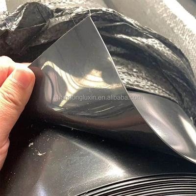 Σχεδιασμός 3D μοντέλου HDPE γεωμεμβράνη για βιομηχανικές δεξαμενές εξόρυξης γαρίδες αγροκτήματα λιμνού