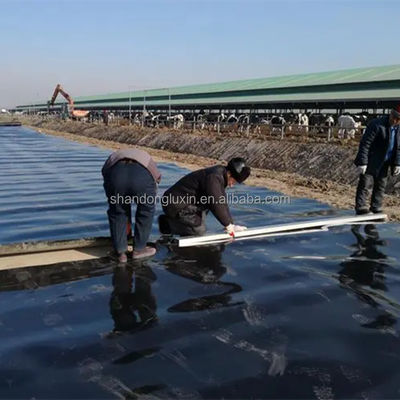 Σχεδιασμός 3D μοντέλου HDPE γεωμεμβράνη για βιομηχανικές δεξαμενές εξόρυξης γαρίδες αγροκτήματα λιμνού