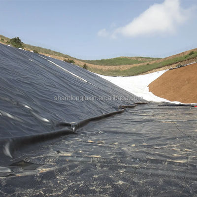 Σχεδιασμός 3D μοντέλου HDPE γεωμεμβράνη για βιομηχανικές δεξαμενές εξόρυξης γαρίδες αγροκτήματα λιμνού