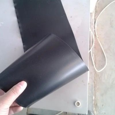 Γεωμεμβράνη 0,3 mm 0,5 mm Αλιευτική λιμνούλα για την υδατοκαλλιέργεια Υπηρεσία μεταπώλησης