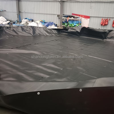 Προσαρμόσιμο υδρογονανθράκιο HDPE Geomembrane Liner για ιχθυαλιθική λίμνη Φάρμα γαρίδας σε ορυχείο δεξαμενής φράγματος