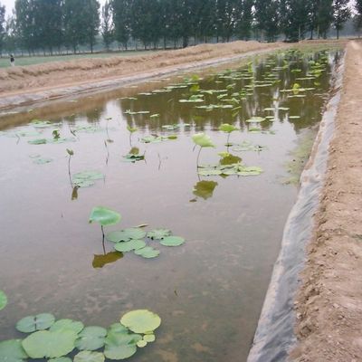 Εξωτερική διπλή ομαλή γεωμεμβράνη για στρώσεις λιμνών ψαριών και χώρους υγειονομικής ταφής που πωλούνται άμεσα