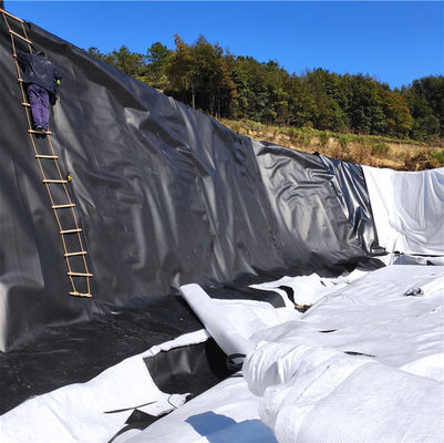 Διπλή ομαλή γεωμεμβράνη HDPE αδιάβροχη 0,5 mm 1 mm για το στρώμα λίμνης ψαριών και το στρώμα φράγματος