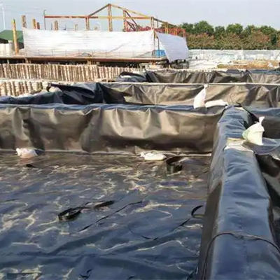 Υδατοασφαλής γεωμεμβράνη HDPE για κήπους στην οροφή ή λιμάνια γαρίδας