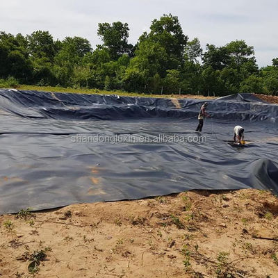 50-100m μήκος HDPE Geomembrane Liner για εξορυκτικές εγκαταστάσεις δεξαμενή φράγμα αλιεία λίμνη γαρίδες αγρόκτημα