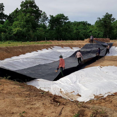 EPDM EVA HDPE Πλαστικό φύλλο για λίμνη για ψάρια Γαρίδες πισίνα κολύμβησης Φυτοκομική λίμνη φράγμα