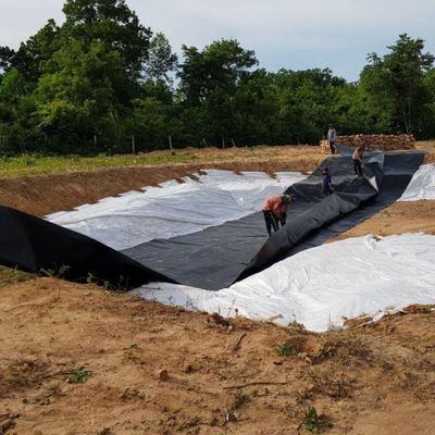 EPDM EVA HDPE Πλαστικό φύλλο για λίμνη για ψάρια Γαρίδες πισίνα κολύμβησης Φυτοκομική λίμνη φράγμα