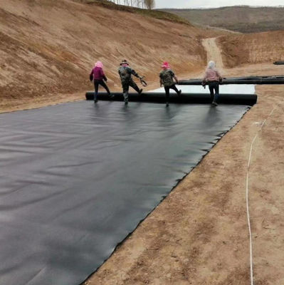 ASTM GRI-GM13 Πρότυπο 1mm 2mm HDPE Geomembrane Fish Pond Liner για την αλιευτική εκτροφή