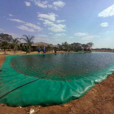 ASTM GRI-GM13 Πρότυπο 1mm 2mm HDPE Geomembrane Fish Pond Liner για την αλιευτική εκτροφή