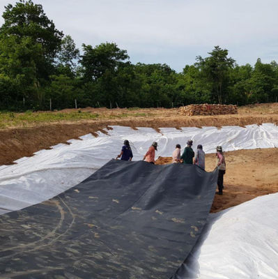 Διπλή υφή HDPE Γεωμεμβράνη 1mm για Αδιάβροχο πλαστικό φράγμα Φαλακτικό φράγμα Φαλακτικό φράγμα