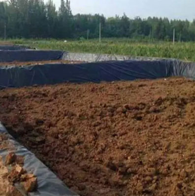 Διπλή υφή HDPE Γεωμεμβράνη 1mm για Αδιάβροχο πλαστικό φράγμα Φαλακτικό φράγμα Φαλακτικό φράγμα