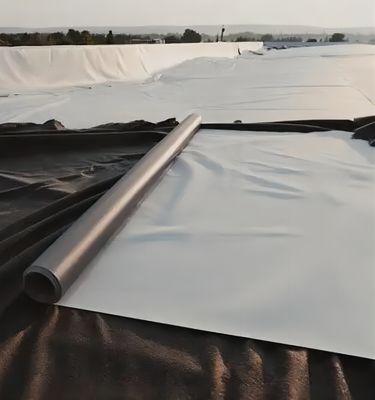 Προσυσκευασμένη ομαλή γεωμεμβράνη με υφή γεωμεμβράνη 2 mm για υδραστικό σχεδιασμό HDPE