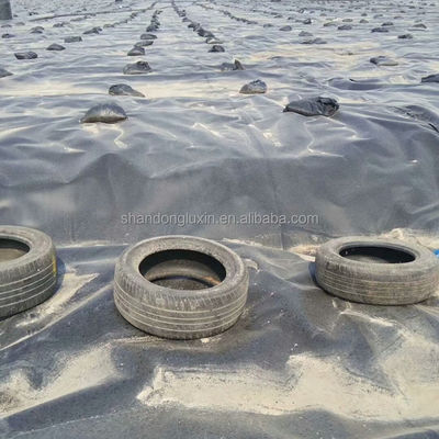 ASTM GRI-GM13 Standard HDPE Smooth Geomembrane Fish Pond Liner για δεξαμενές αποθήκευσης νερού