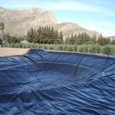 Γεωμεμβράνες PVC LDPE HDPE Αλιερό λίμνη Liner Δάμα Liner μήκος 50-200m πάχος 0.3mm-2.8mm