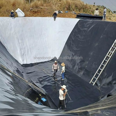 Συνολική λύση για έργα Στυλ βιομηχανικού σχεδιασμού HDPE γεωμεμβράνη