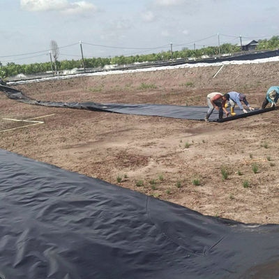1-8m πλάτος διπλό ομαλό μαύρο HDPE λιμνοσκεπάστης για ψάρια γαρίδες πισίνα