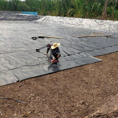 1-8m πλάτος διπλό ομαλό μαύρο HDPE λιμνοσκεπάστης για ψάρια γαρίδες πισίνα