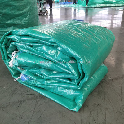 Υδατοασφαλής εξωτερική πλαστική κάλυψη HDPE υφάσματος μπλε πλαστική σανίδα για εξωτερική γεωργία